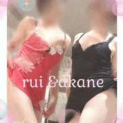 ヒメ日記 2025/07/15 16:15 投稿 あかね 奥様クラブ