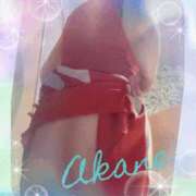 ヒメ日記 2025/07/19 09:05 投稿 あかね 奥様クラブ