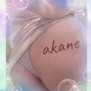 ヒメ日記 2025/07/19 23:45 投稿 あかね 奥様クラブ