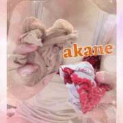 ヒメ日記 2025/07/23 00:05 投稿 あかね 奥様クラブ