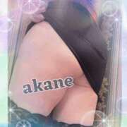 ヒメ日記 2025/08/03 09:05 投稿 あかね 奥様クラブ