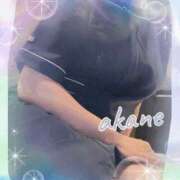 ヒメ日記 2025/08/03 19:55 投稿 あかね 奥様クラブ