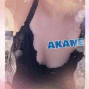 ヒメ日記 2025/08/03 23:45 投稿 あかね 奥様クラブ