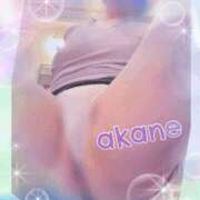 ヒメ日記 2025/08/04 09:05 投稿 あかね 奥様クラブ