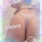 ヒメ日記 2025/08/10 09:05 投稿 あかね 奥様クラブ