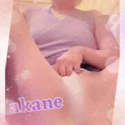 ヒメ日記 2025/08/11 09:05 投稿 あかね 奥様クラブ