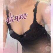 ヒメ日記 2025/08/11 23:25 投稿 あかね 奥様クラブ