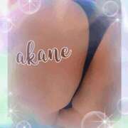 ヒメ日記 2025/08/12 09:05 投稿 あかね 奥様クラブ