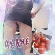 ヒメ日記 2025/08/13 00:00 投稿 あかね 奥様クラブ