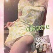 ヒメ日記 2025/08/18 00:35 投稿 あかね 奥様クラブ