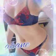 ヒメ日記 2025/08/18 09:05 投稿 あかね 奥様クラブ