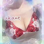 ヒメ日記 2025/08/28 21:10 投稿 あかね 奥様クラブ