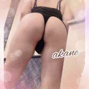 ヒメ日記 2025/08/29 09:05 投稿 あかね 奥様クラブ