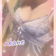 ヒメ日記 2025/08/30 10:20 投稿 あかね 奥様クラブ