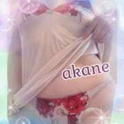 ヒメ日記 2025/09/02 10:55 投稿 あかね 奥様クラブ