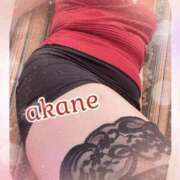 ヒメ日記 2025/09/02 23:25 投稿 あかね 奥様クラブ