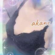 ヒメ日記 2025/09/05 10:00 投稿 あかね 奥様クラブ