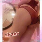 ヒメ日記 2025/09/20 09:05 投稿 あかね 奥様クラブ