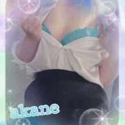 ヒメ日記 2025/09/21 09:05 投稿 あかね 奥様クラブ