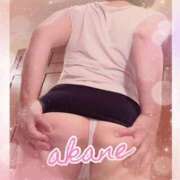 ヒメ日記 2025/09/23 09:05 投稿 あかね 奥様クラブ