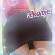 ヒメ日記 2025/09/24 21:25 投稿 あかね 奥様クラブ