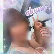 ヒメ日記 2025/09/27 10:30 投稿 あかね 奥様クラブ