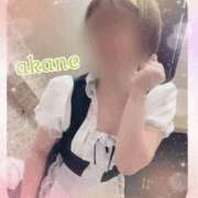 ヒメ日記 2025/09/30 11:05 投稿 あかね 奥様クラブ