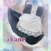 ヒメ日記 2025/10/08 09:55 投稿 あかね 奥様クラブ