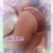 ヒメ日記 2025/10/11 09:05 投稿 あかね 奥様クラブ