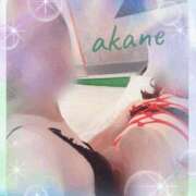 ヒメ日記 2025/10/12 20:35 投稿 あかね 奥様クラブ