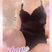 ヒメ日記 2025/10/14 09:15 投稿 あかね 奥様クラブ