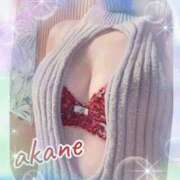 ヒメ日記 2025/10/18 09:05 投稿 あかね 奥様クラブ