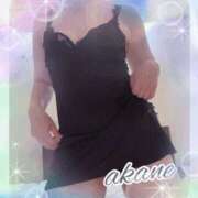 ヒメ日記 2025/10/19 09:05 投稿 あかね 奥様クラブ