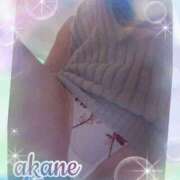 ヒメ日記 2025/10/20 00:00 投稿 あかね 奥様クラブ