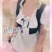 ヒメ日記 2025/10/21 09:05 投稿 あかね 奥様クラブ