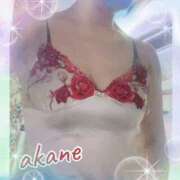 ヒメ日記 2025/10/22 23:50 投稿 あかね 奥様クラブ