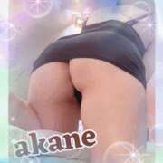 ヒメ日記 2025/10/24 23:45 投稿 あかね 奥様クラブ