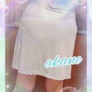 ヒメ日記 2025/10/26 09:05 投稿 あかね 奥様クラブ