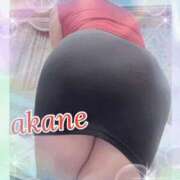 ヒメ日記 2025/11/01 09:05 投稿 あかね 奥様クラブ