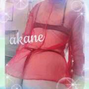 ヒメ日記 2025/11/01 22:50 投稿 あかね 奥様クラブ