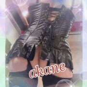 ヒメ日記 2025/11/05 09:05 投稿 あかね 奥様クラブ