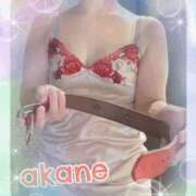 ヒメ日記 2025/11/07 09:05 投稿 あかね 奥様クラブ