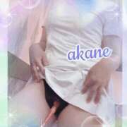 ヒメ日記 2025/11/08 09:05 投稿 あかね 奥様クラブ