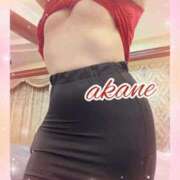 ヒメ日記 2025/11/09 11:15 投稿 あかね 奥様クラブ