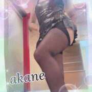 ヒメ日記 2025/11/09 18:25 投稿 あかね 奥様クラブ