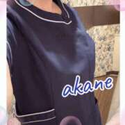 ヒメ日記 2025/11/09 18:35 投稿 あかね 奥様クラブ