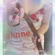 ヒメ日記 2025/11/11 22:10 投稿 あかね 奥様クラブ