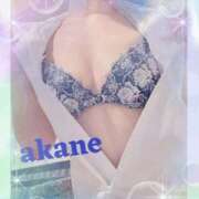 ヒメ日記 2025/11/12 09:05 投稿 あかね 奥様クラブ