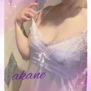 ヒメ日記 2025/11/14 15:25 投稿 あかね 奥様クラブ