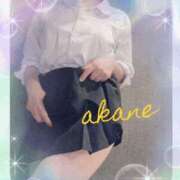 ヒメ日記 2025/11/17 09:05 投稿 あかね 奥様クラブ